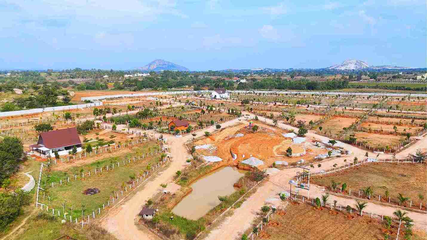 Sustainable Living Benefits in Managed Farmlands