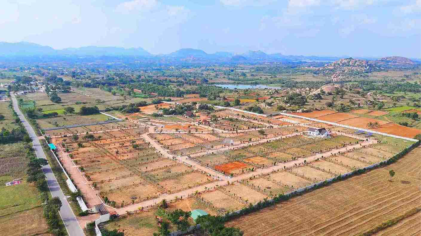 Farmland Feature Near Bangalore