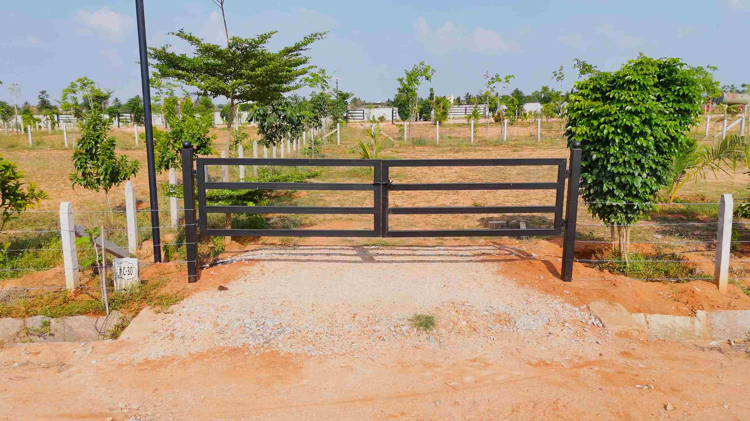 Biodiverse farmland ecosystem purifying air naturally