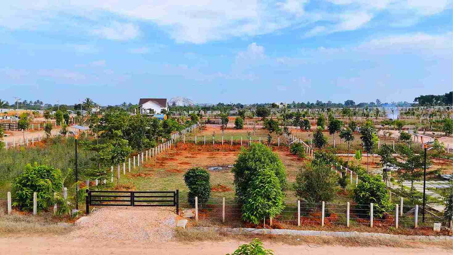 Modern Amenities Highlights