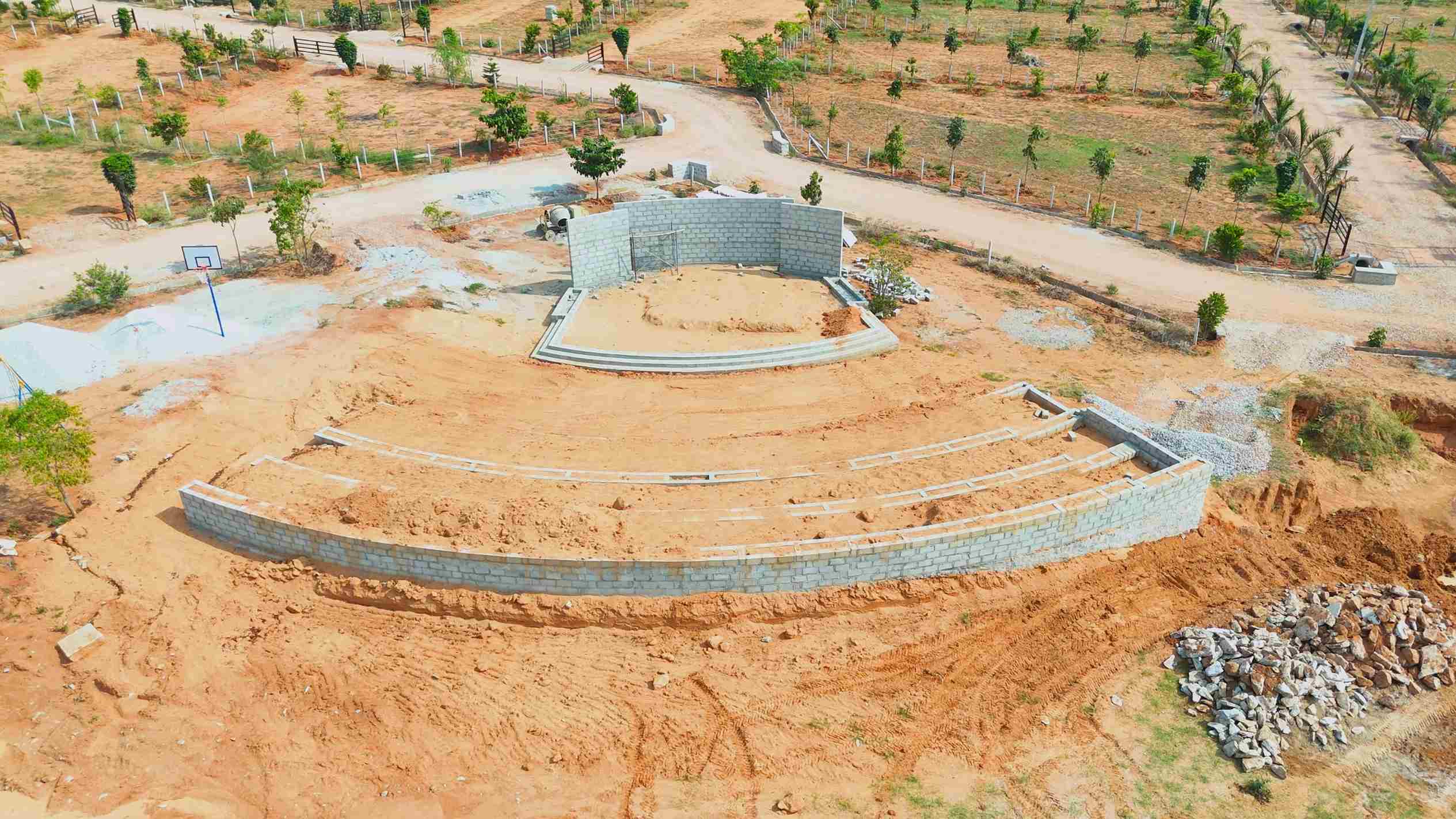 Profitable Timber Trees in Managed Farmland
