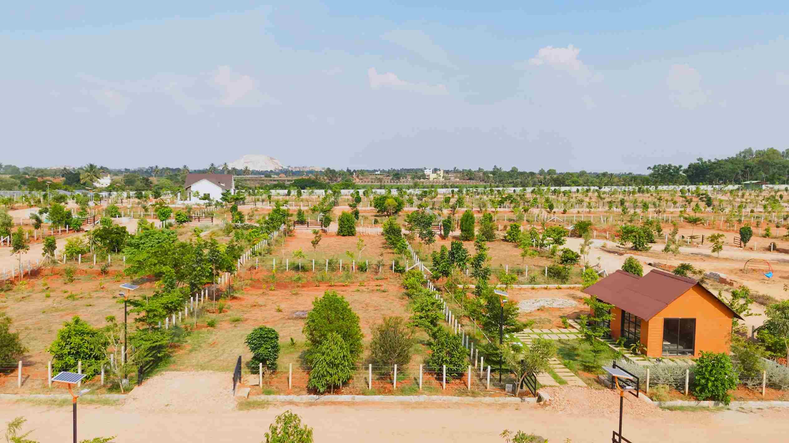 High Return Farmland Investment Near Bangalore – Elegant Orchards
