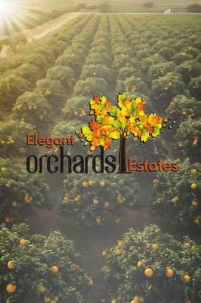 Elegant Orchards
