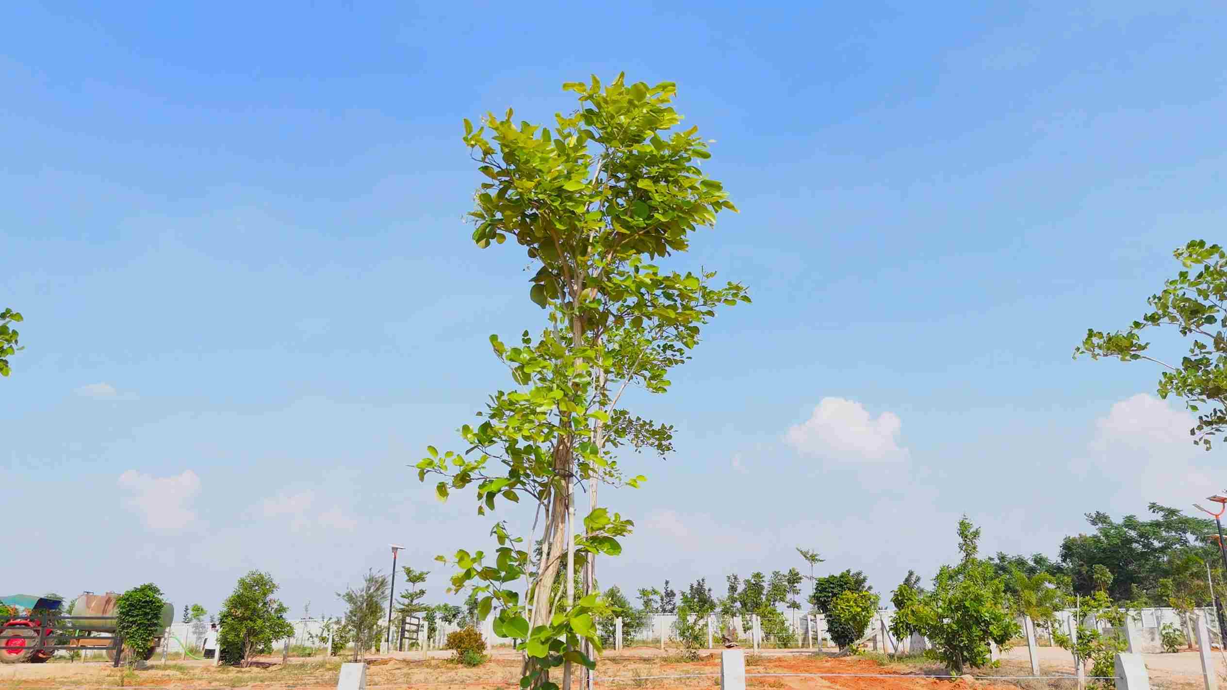 Warning signs when buying farmland near Bangalore