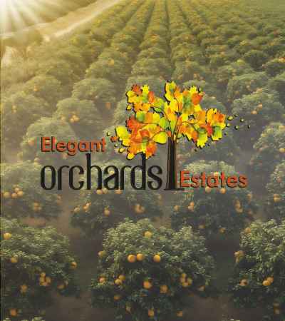 Elegant-orchards-estate