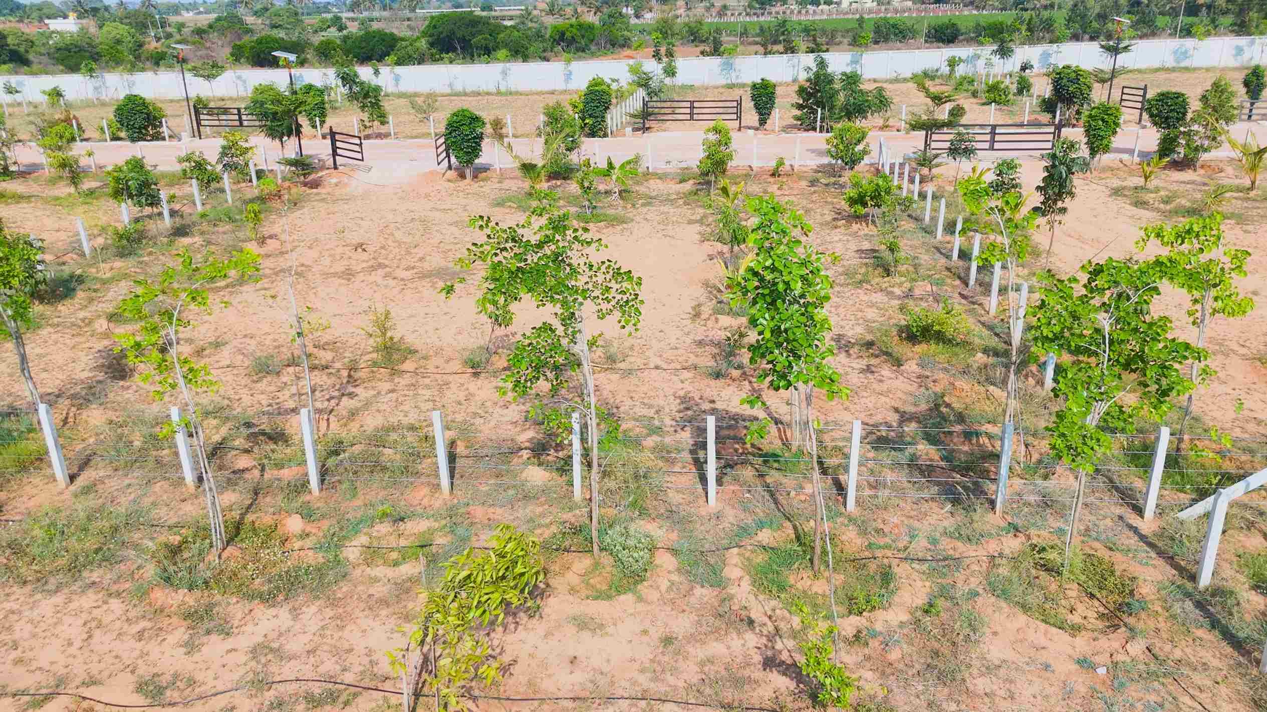Warning signs when buying farmland near Bangalore