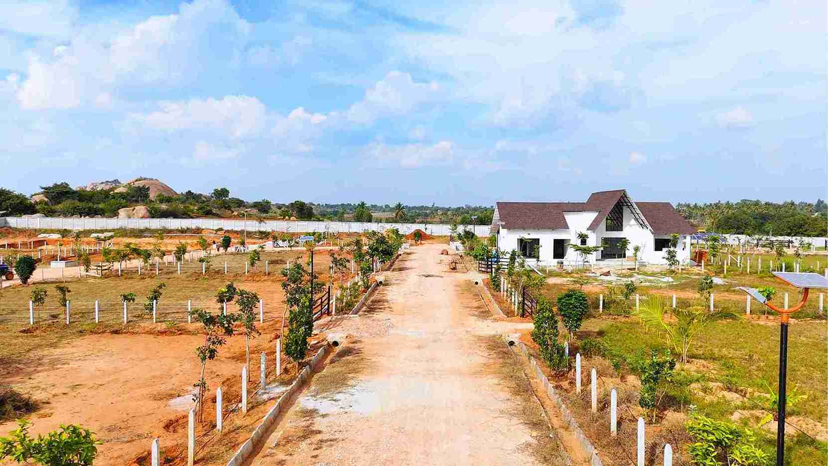 Agricultural Investment Opportunities