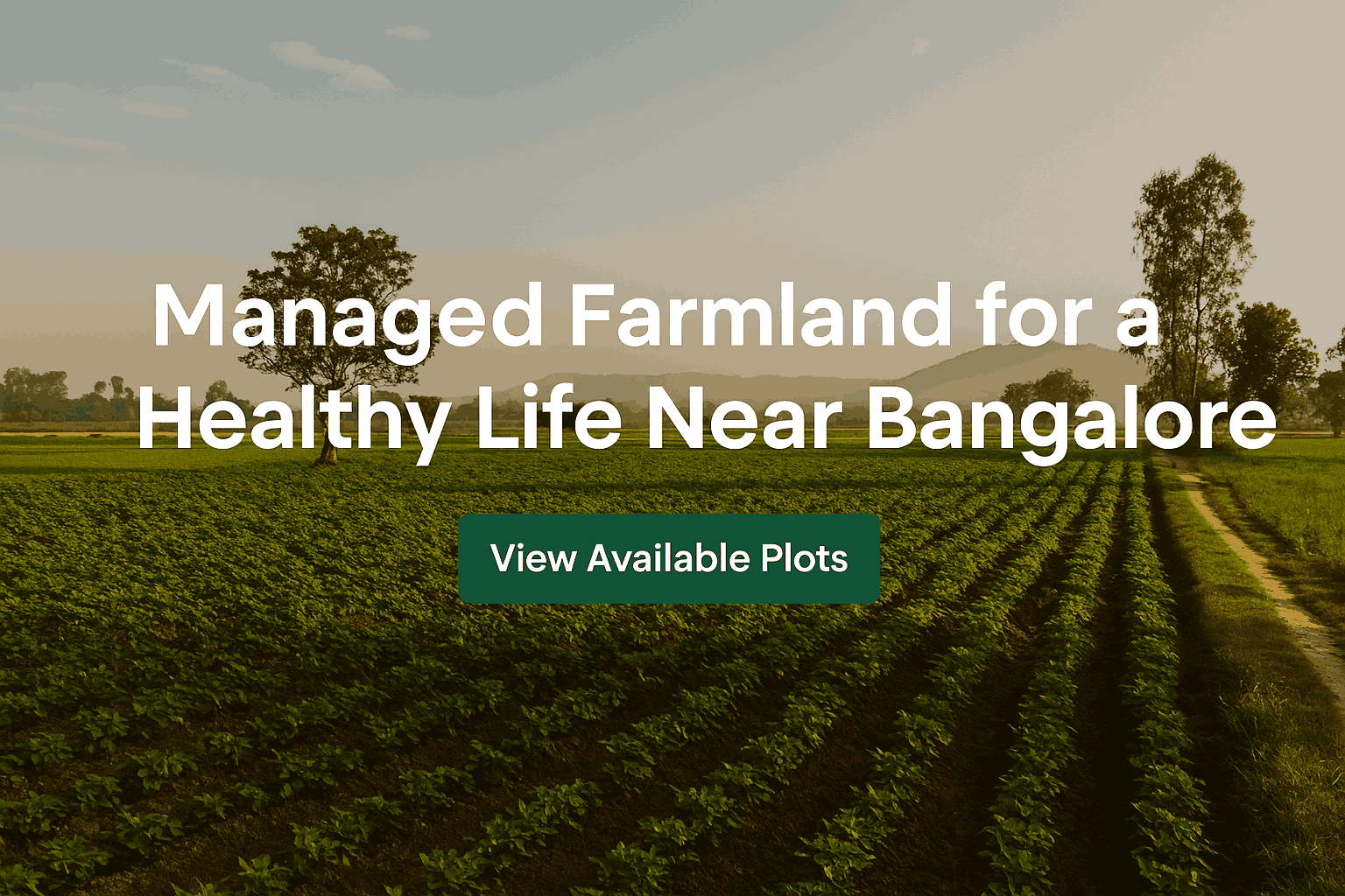 Agricultural Land in Chikkaballapur with Nature-Inspired Amenities