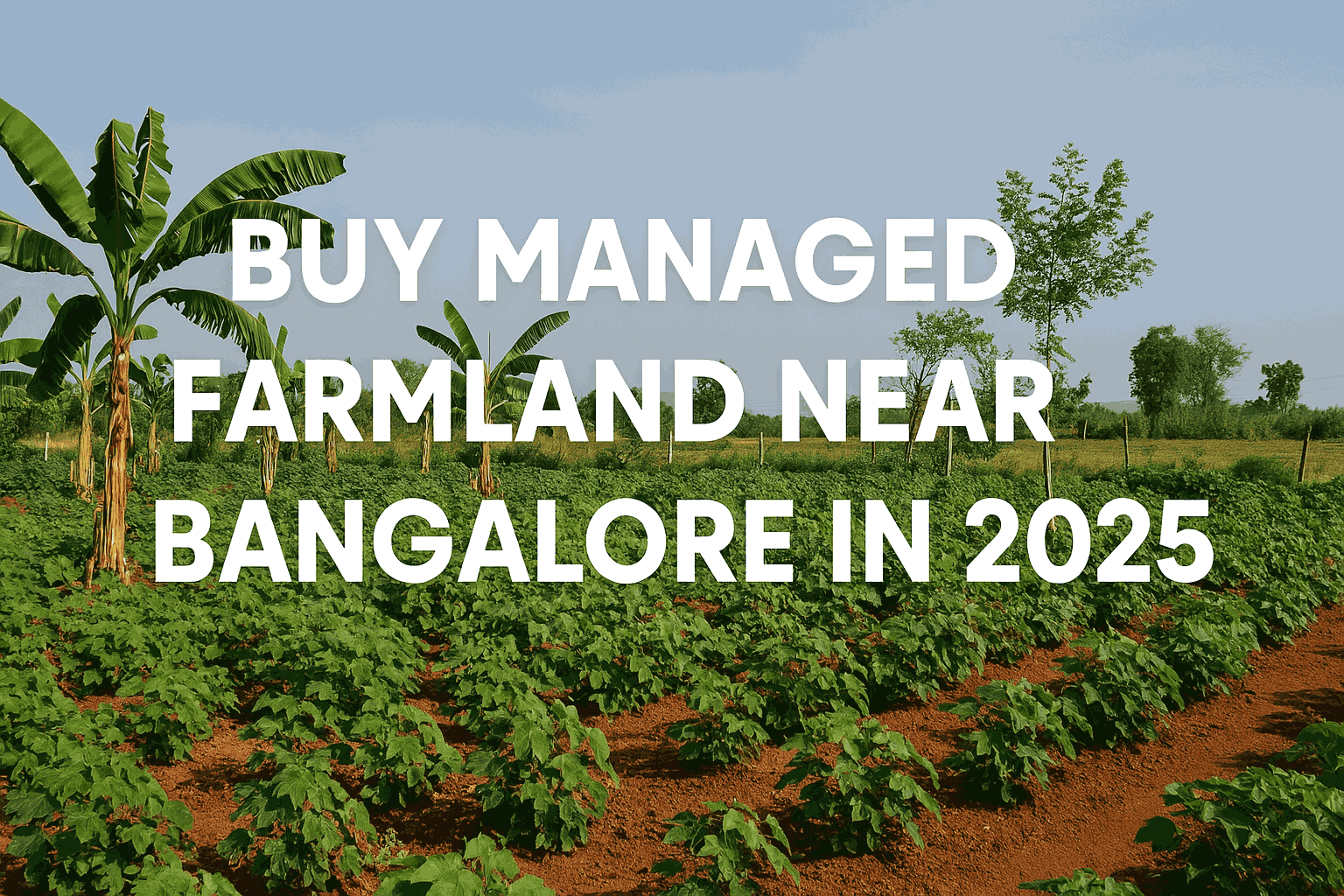 Chikkaballapur Farmland Location Advantages for NRIs