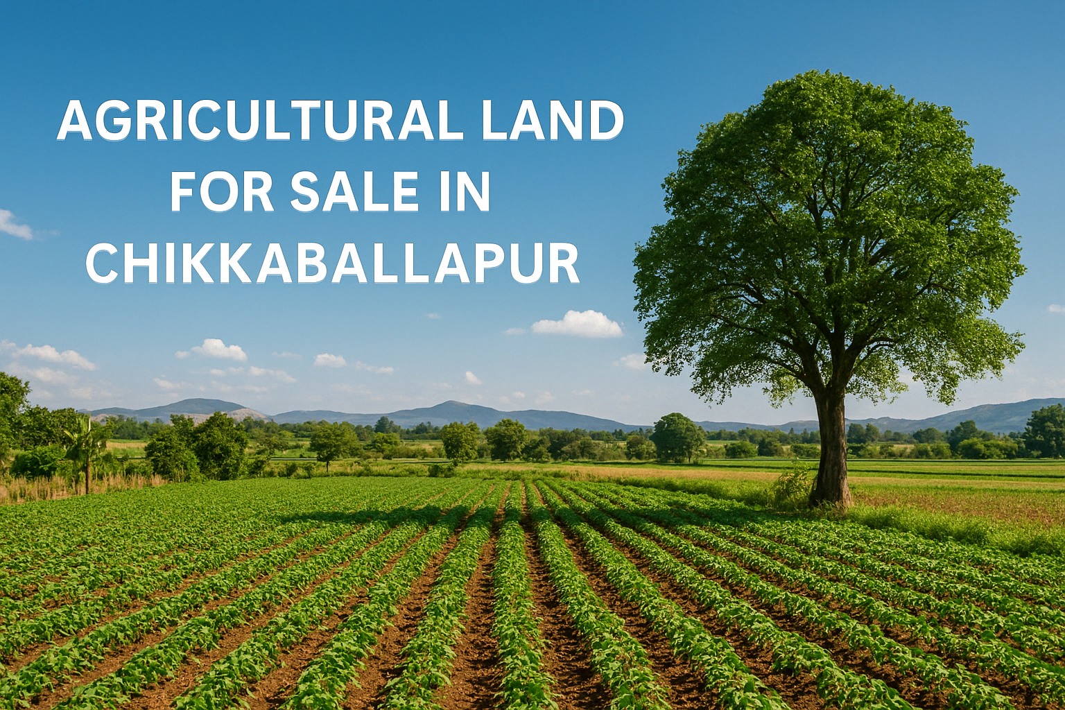 Agricultural Farmland Near Chikkaballapur