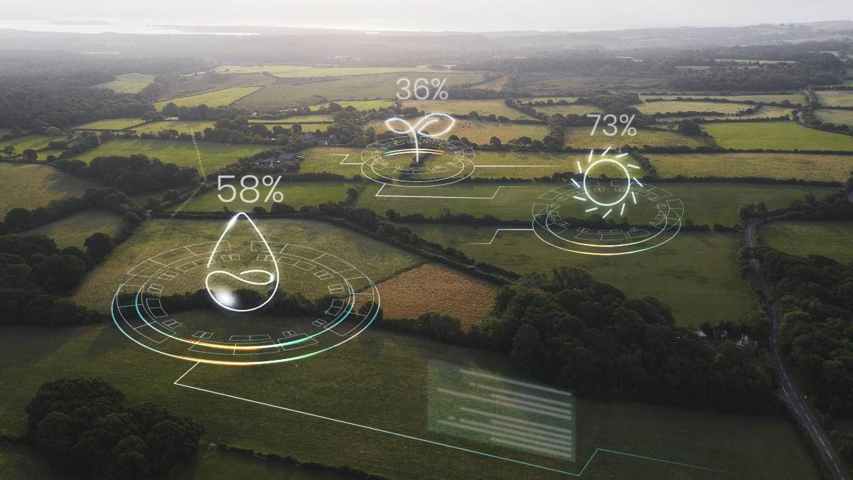Location vs Amenities in Farmland Investment