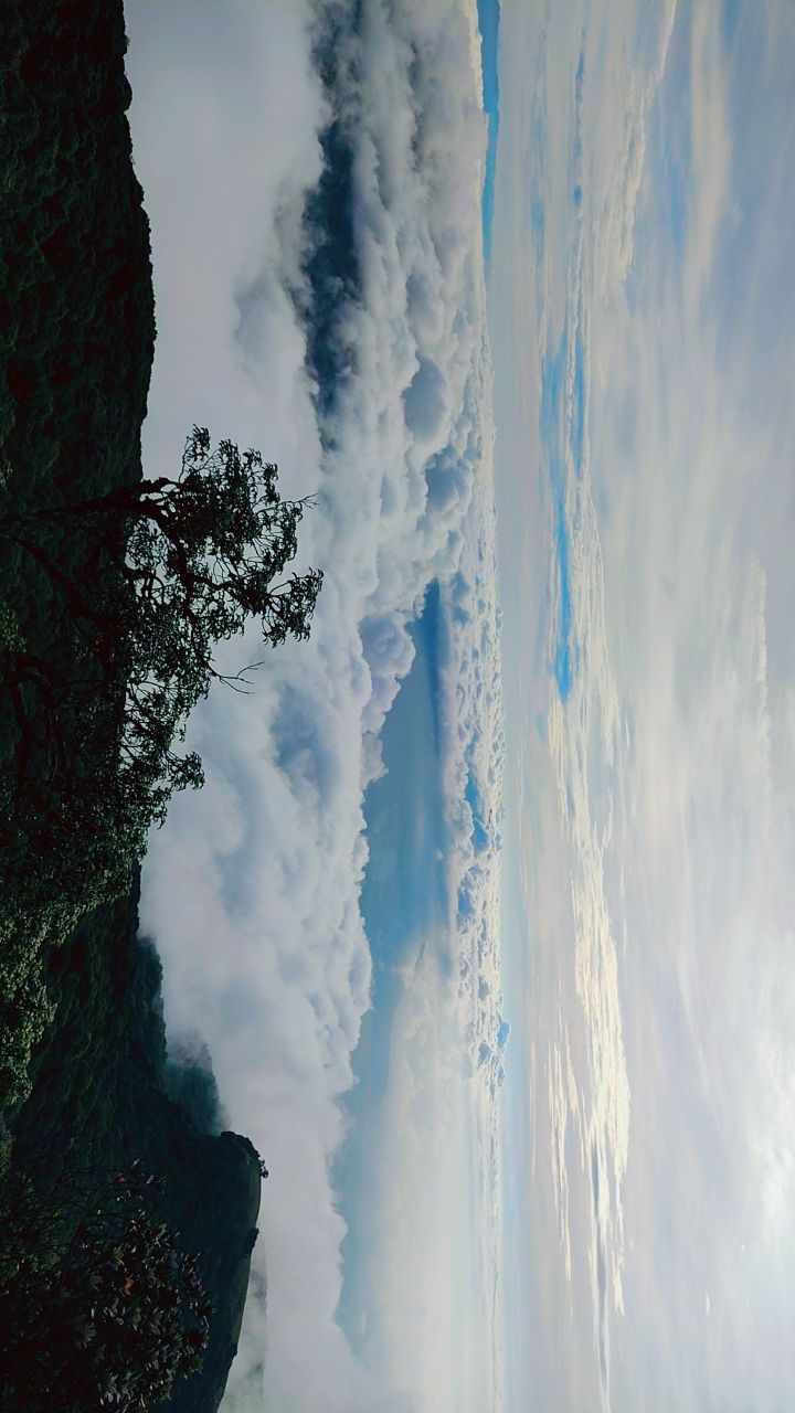 Managed Farmland Near Nandi Hills - Sustainable Investment