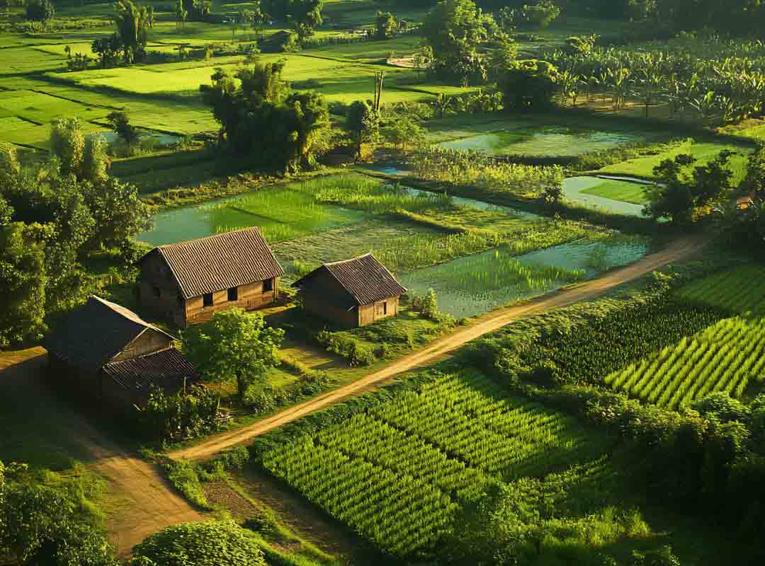 Key Legal Documents for Farmland Investments - Groavy