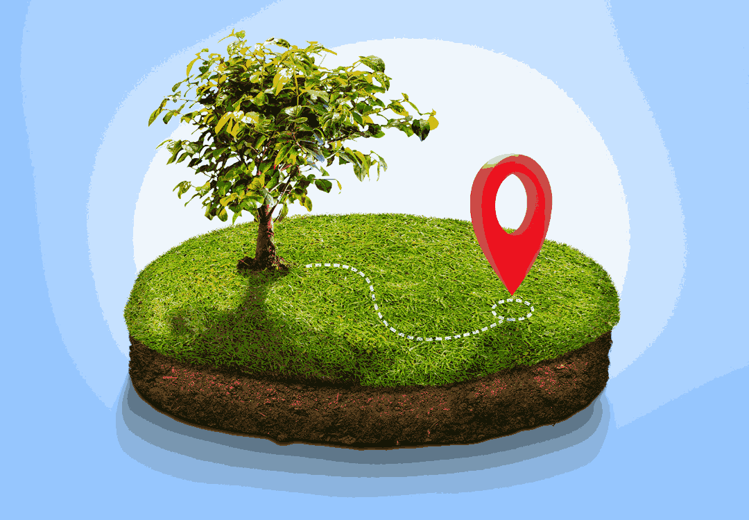Agricultural Innovations: Transforming Farmland Near Chikkaballapur