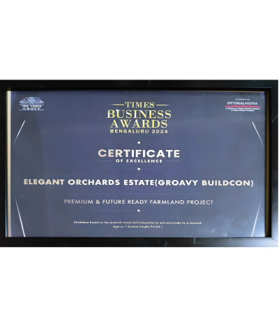 Times Business Award Certificate