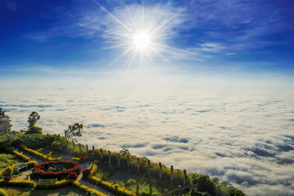 Topographical Benefits of Managed Farmland Near Nandi Hills