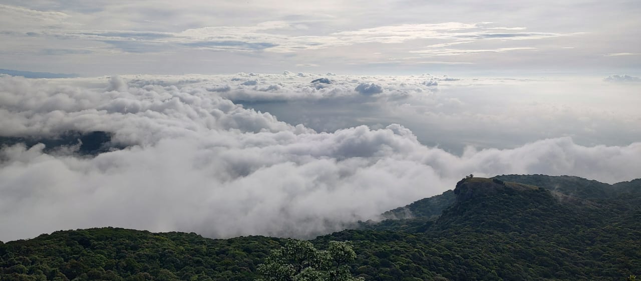 Nandi Hills Managed Farmland Topography