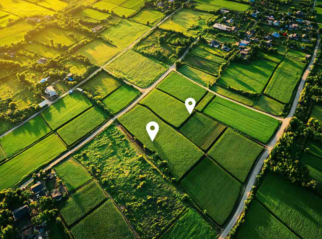 Financial Insights: Evaluating the ROI of Agricultural Land